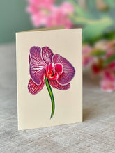 Load image into Gallery viewer, Orchid Oasis