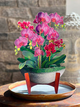 Load image into Gallery viewer, Orchid Oasis