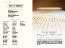 Load image into Gallery viewer, The 365-Day Bible Overview