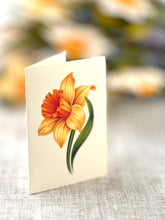 Load image into Gallery viewer, English Daffodils