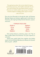 Load image into Gallery viewer, 25 Christmas Blessings

