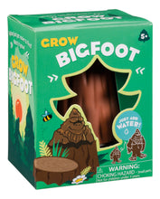 Load image into Gallery viewer, Grow A Bigfoot, DIY Experiment
