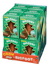 Load image into Gallery viewer, Grow A Bigfoot, DIY Experiment

