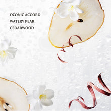 Load image into Gallery viewer, Rainwater Power Mist Hydrating Hand Sanitizer
