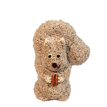 Load image into Gallery viewer, Nutzo Squirrel
