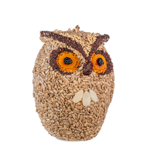 Load image into Gallery viewer, Whoo-lio Owl
