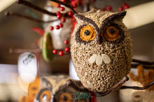 Load image into Gallery viewer, Whoo-lio Owl
