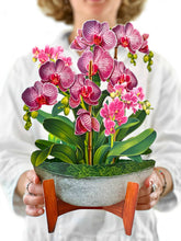 Load image into Gallery viewer, Orchid Oasis
