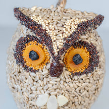 Load image into Gallery viewer, Whoo-lio Owl

