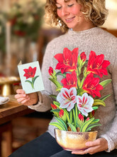 Load image into Gallery viewer, Scarlet Amaryllis
