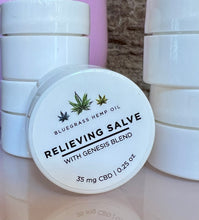 Load image into Gallery viewer, BHO Relieving Slave .25oz
