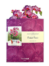 Load image into Gallery viewer, Orchid Oasis
