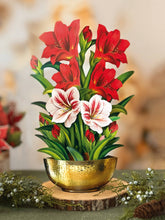 Load image into Gallery viewer, Scarlet Amaryllis
