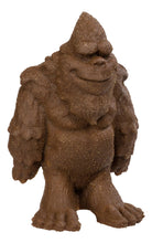 Load image into Gallery viewer, Grow A Bigfoot, DIY Experiment
