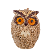 Load image into Gallery viewer, Whoo-lio Owl
