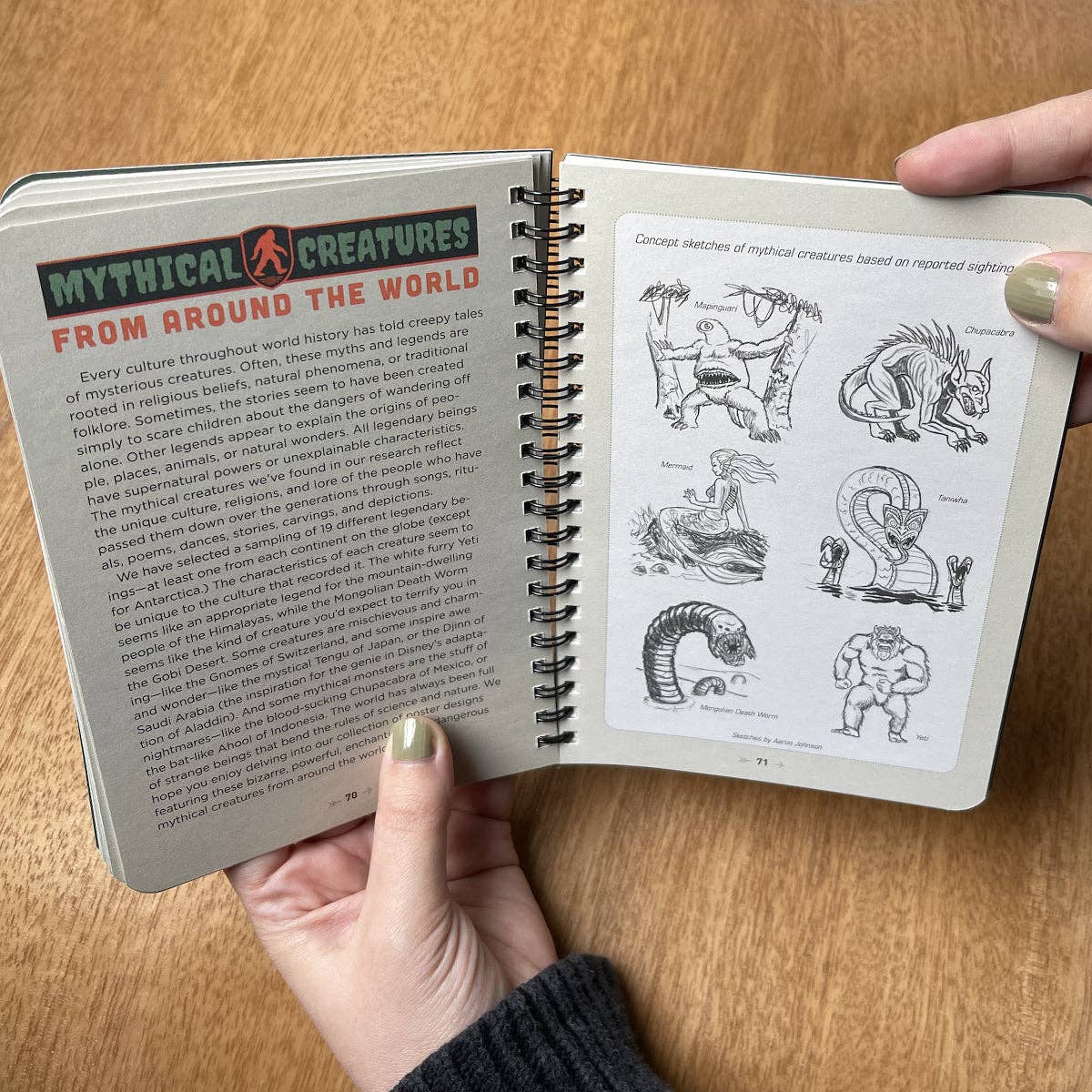Legends Of The National Park Guide Book