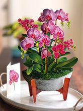Load image into Gallery viewer, Orchid Oasis
