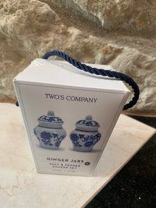Mini Ginger Jar Salt & Pepper Shaker